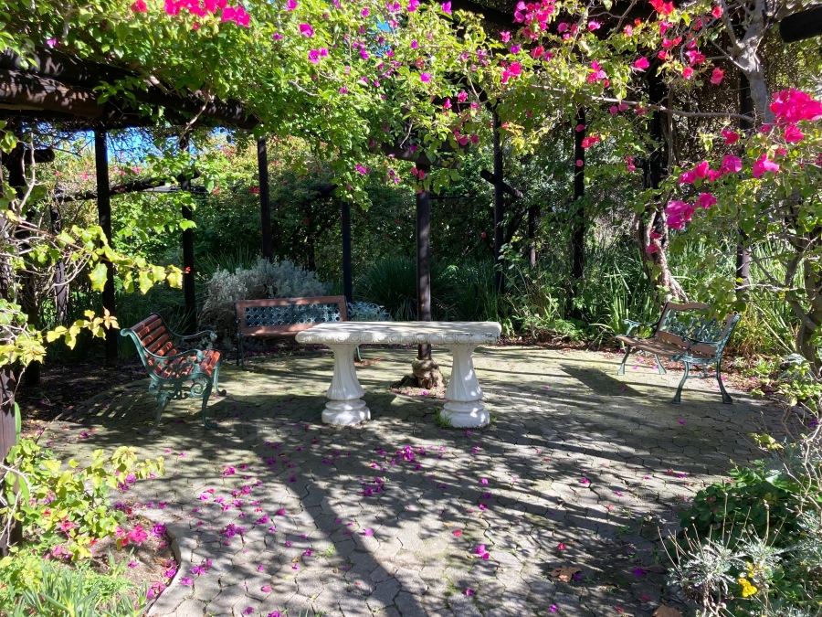 To Let 2 Bedroom Property for Rent in Claremont Upper Western Cape